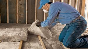 Best Crawl Space Insulation  in Pikeville, KY