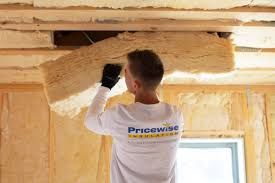 Best Insulation for New Construction  in Pikeville, KY