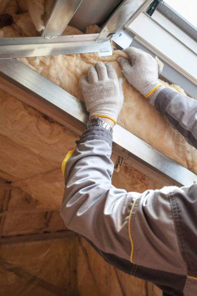 Best Eco-Friendly or Green Insulation Solutions  in Pikeville, KY