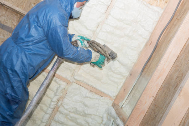 Best Insulation Air Sealing  in Pikeville, KY